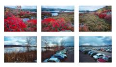 Two possible Choices for the Future 1984 2